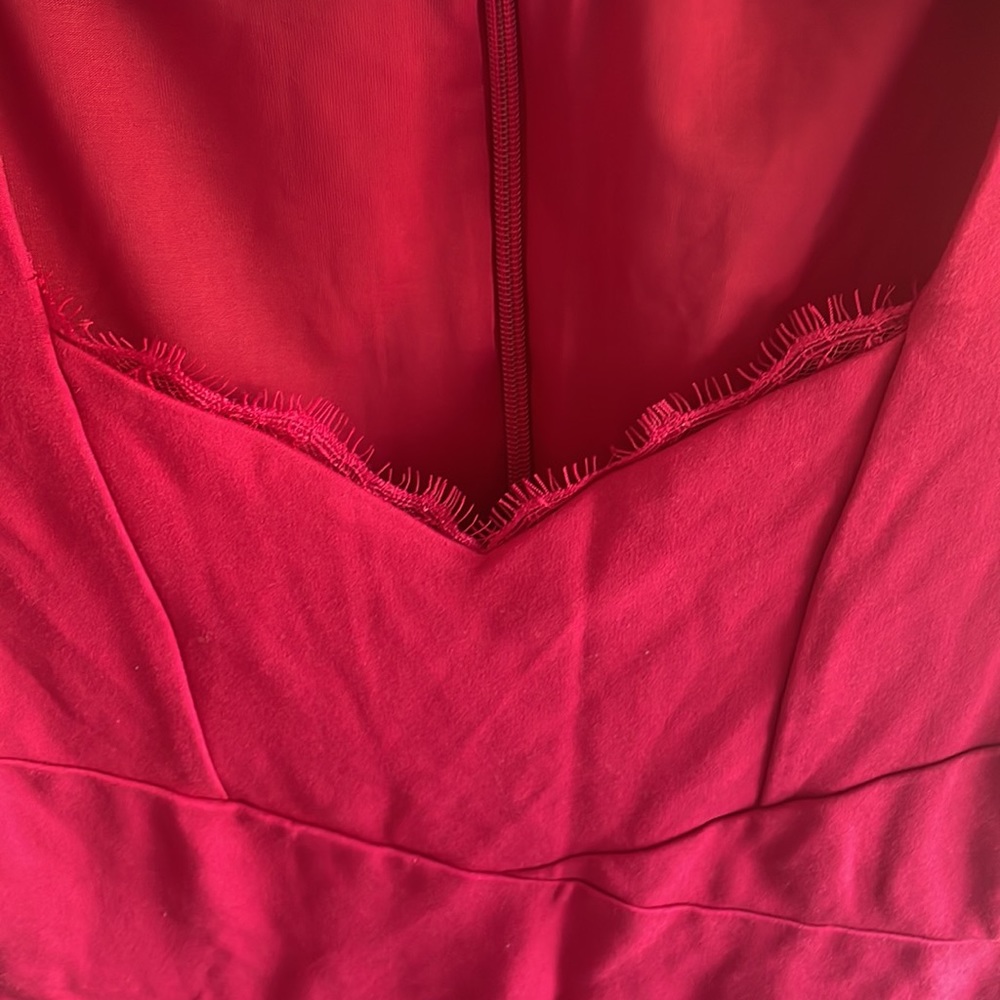 Bebe Dress - Picture 3 of 7